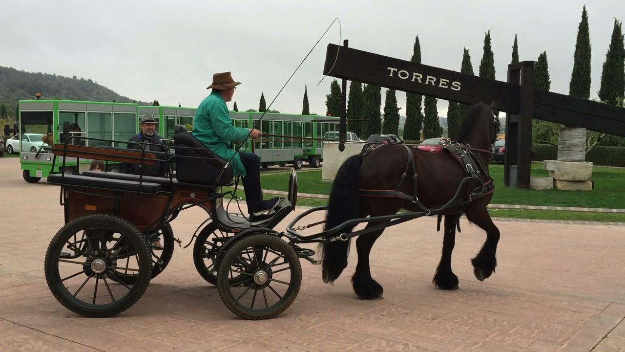 Hotel Rural Cal Ruget Vilobi Del Penedes エクステリア 写真