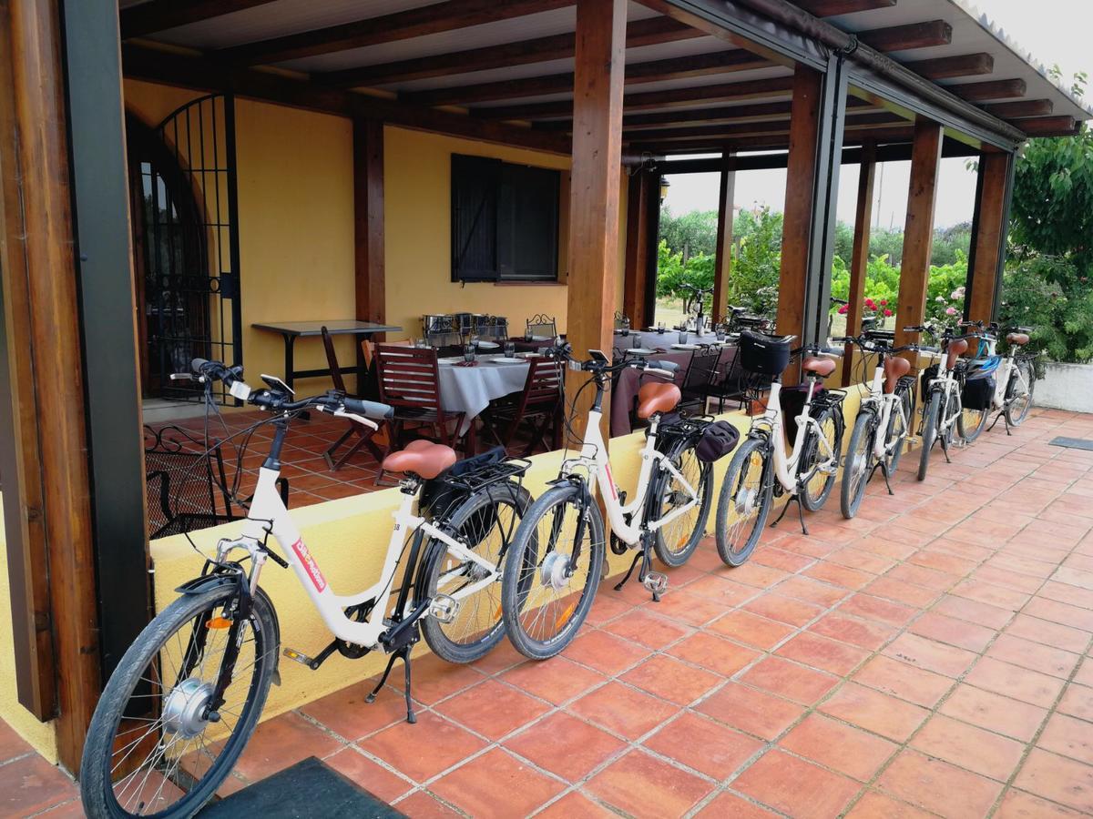 Hotel Rural Cal Ruget Vilobi Del Penedes エクステリア 写真